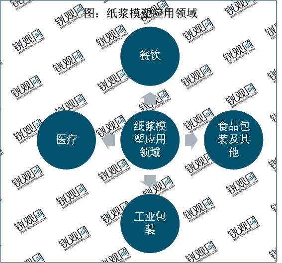 华体会登录手机版2023纸浆模塑行业分析：一次性餐具是行业重要发展赛道(图1)